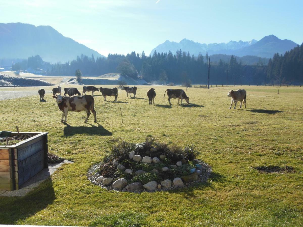 Gaestehaus Gruenbacher Kossen Exterior photo